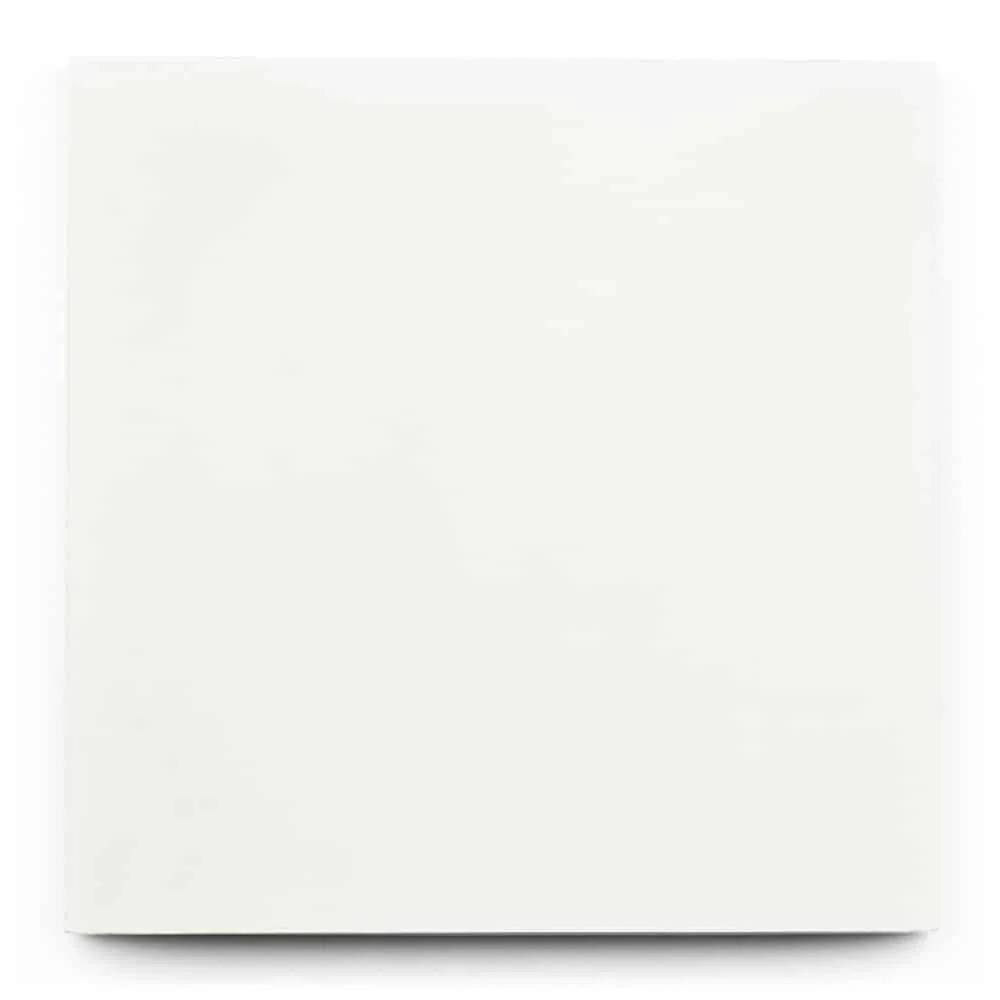 WHITE 8x8